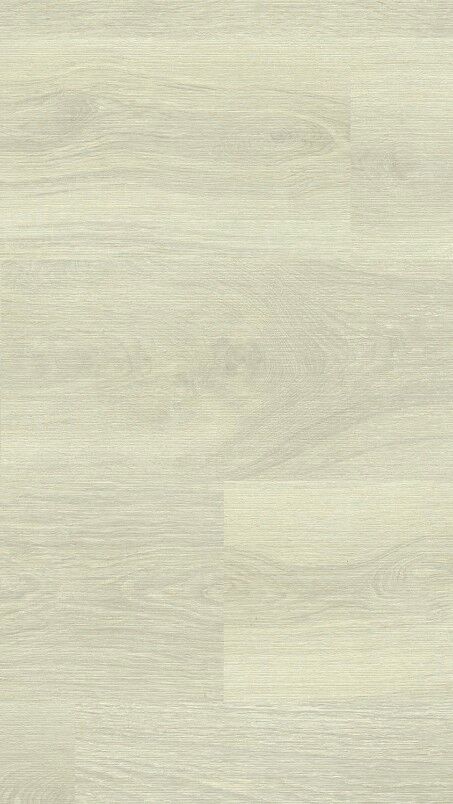 510030004 SEASHORE OAK